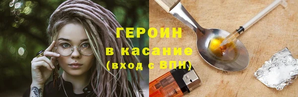 гашик Алексин