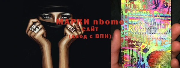 гашик Алексин