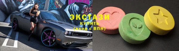 гашик Алексин
