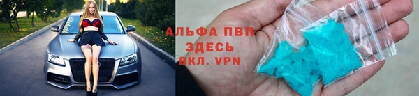 гашик Алексин