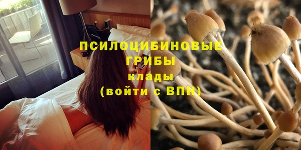 мяу мяу кристалл Алзамай