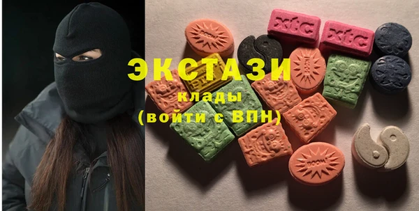 гашик Алексин