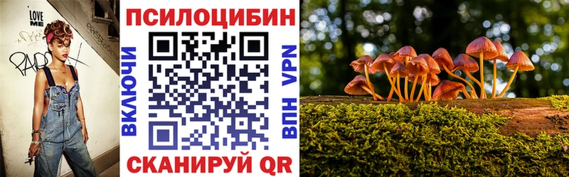 Галлюциногенные грибы Magic Shrooms  блэк спрут   Миасс  купить  сайты 