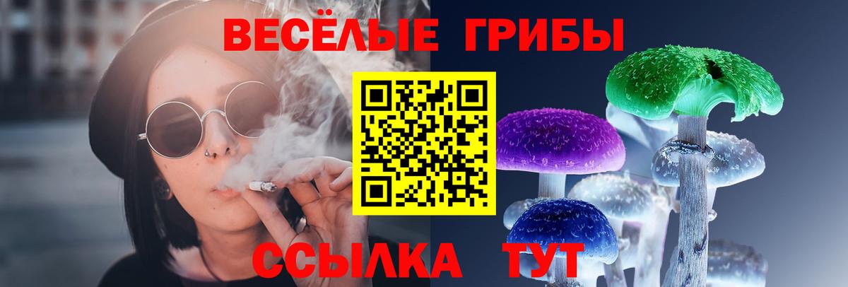 Галлюциногенные грибы Psilocybine cubensis Миасс